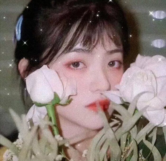 弑外桃源